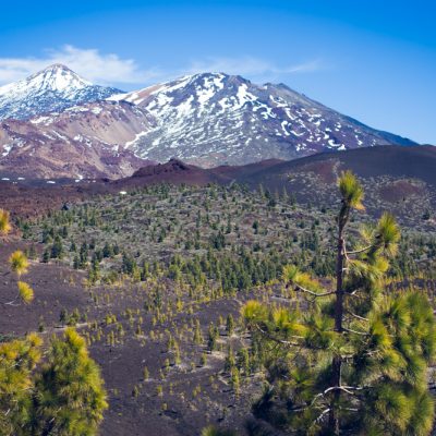 El Pico Viejo and Teide