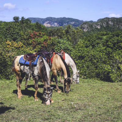 Valle de Viñales