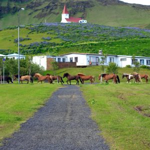 Iceland, 2013