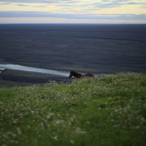 Iceland, 2013