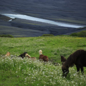 Iceland