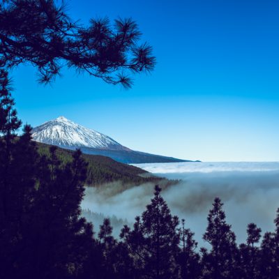 Teide from the pine forest