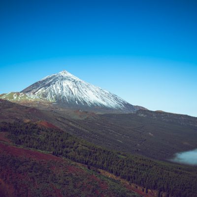 Teide from the pine forest