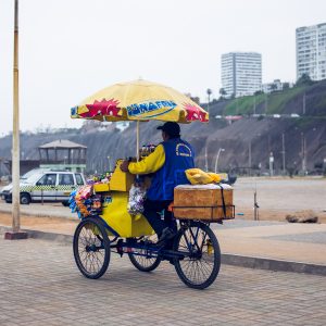  Street vendor, Magdalena del Mar district, Lima, 2017. / Vendeur ambulant, bord de mer, quartier Magdalena del Mar, Lima, 2017.
