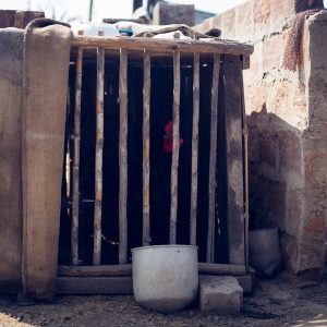 Eduardo's farm, Huaral, 2017. / La ferme d'Eduardo. Huaral, 2017.