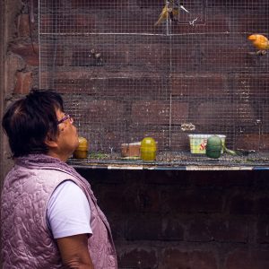 Constanza at Carmen's. The two friends go every week to the two hours away Peruvian Japanese Cultural Centre in Lima to sell fruits and vegetables from Huaral. The money is used to pay for the bus that drive the elderly from Huaral that wish to attend the Jinnai centre. Huaral,  2017. / Constanza chez Carmen. Les deux amies se rendent au centre culturel de Lima à deux heures de route pour vendre des fruits et légumes de Huaral. L'argent sert à financer le bus pour les vieilles personnes qui vivent à Huaral et veulent se rendre au centre Jinnai de Lima. Huaral, 2017.