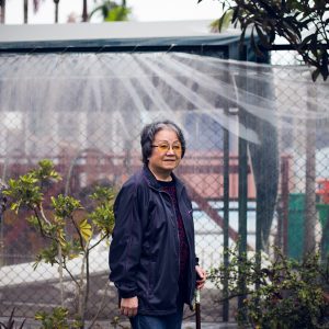 Violeta Matsukawa Arashiro, 2nd generation, is an ex-hairdresser. AELU, Lima, 2017. / Violeta Matsukawa Arashiro, 2ème génération, est une ancienne coiffeuse. AELU, Lima, 2017.