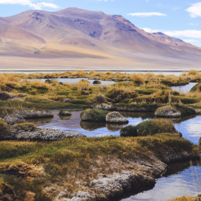 Atacama desert