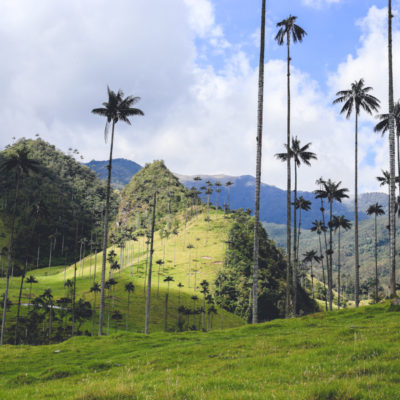 Vallee del Cocora