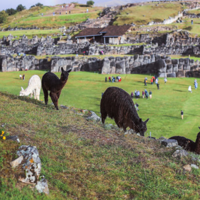 Sacsayhuamán