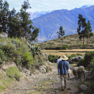 Cañon del Río Colca