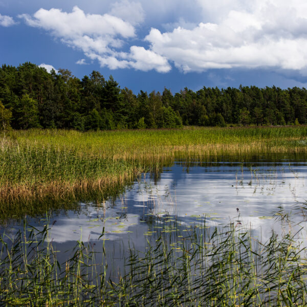 Kristinehamn, Sweden, 2023.