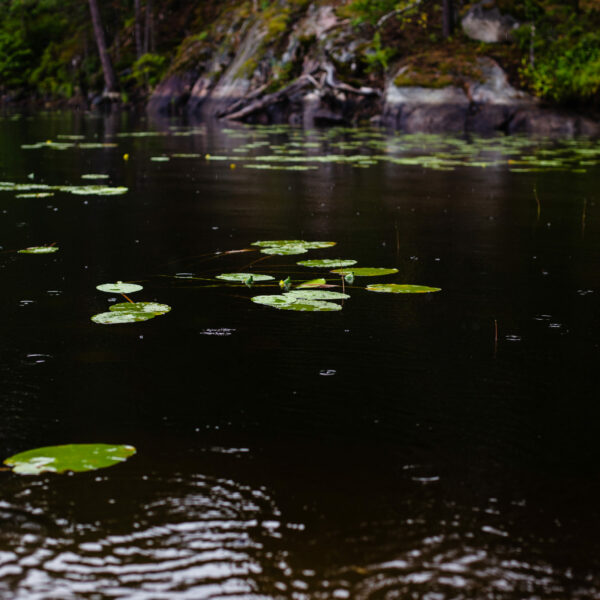 Tyresta Nationalpark